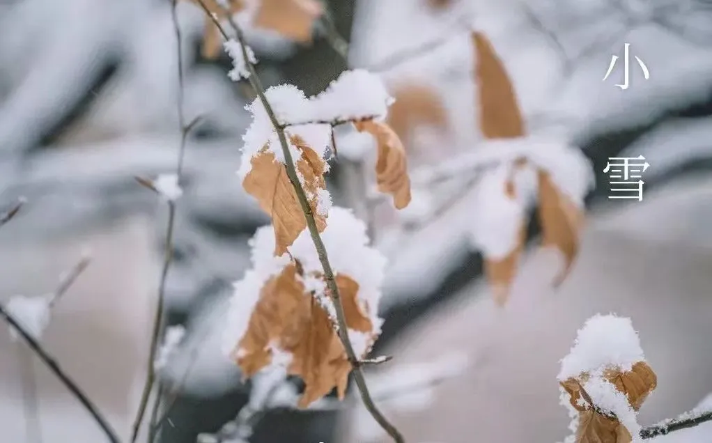 Незначительный снег - что нужно знать